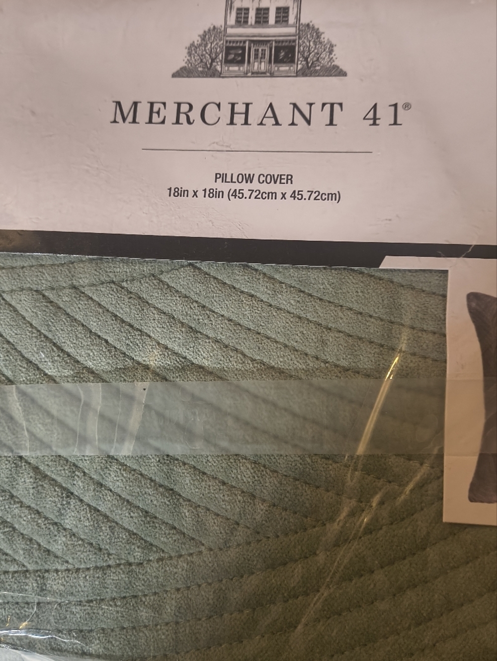 Set Of 2 Sage Green Pillow Cover